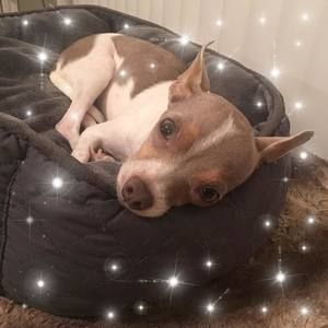 Meet your Posher, Barbara